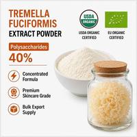 Extrait de Champignon Tremella Fuciformis en Vrac, 40% Polysaccharides, Poudre de Champignon des Neiges, Corps Fruiteur Concentré, Vente en Gros