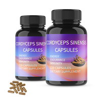 Capsules de supplément pour adultes à marque privée au Cordyceps Sinensis - 120 gélules - Soutient l'énergie et la santé du système immunitaire - Durée de conservation de 24 mois