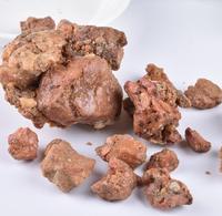 8006 a Wei herbe chinoise forte odeur séchée brute Asafoetida résine gomme Asafoetida