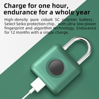 Mini cadenas intelligent à empreintes digitales, rechargeable par USB, biométrique, sans clé, pour bagages, voyage, sac à dos, casier de gym, modèle homme/femme