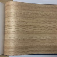 Bobine d'acier certifiée JIS à effet bois et toucher métallique, idéale pour les portes de garage et la décoration intérieure