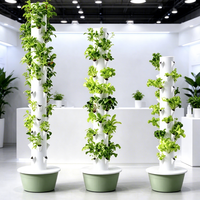 Tour de culture hydroponique pour légumes d'intérieur sans terre