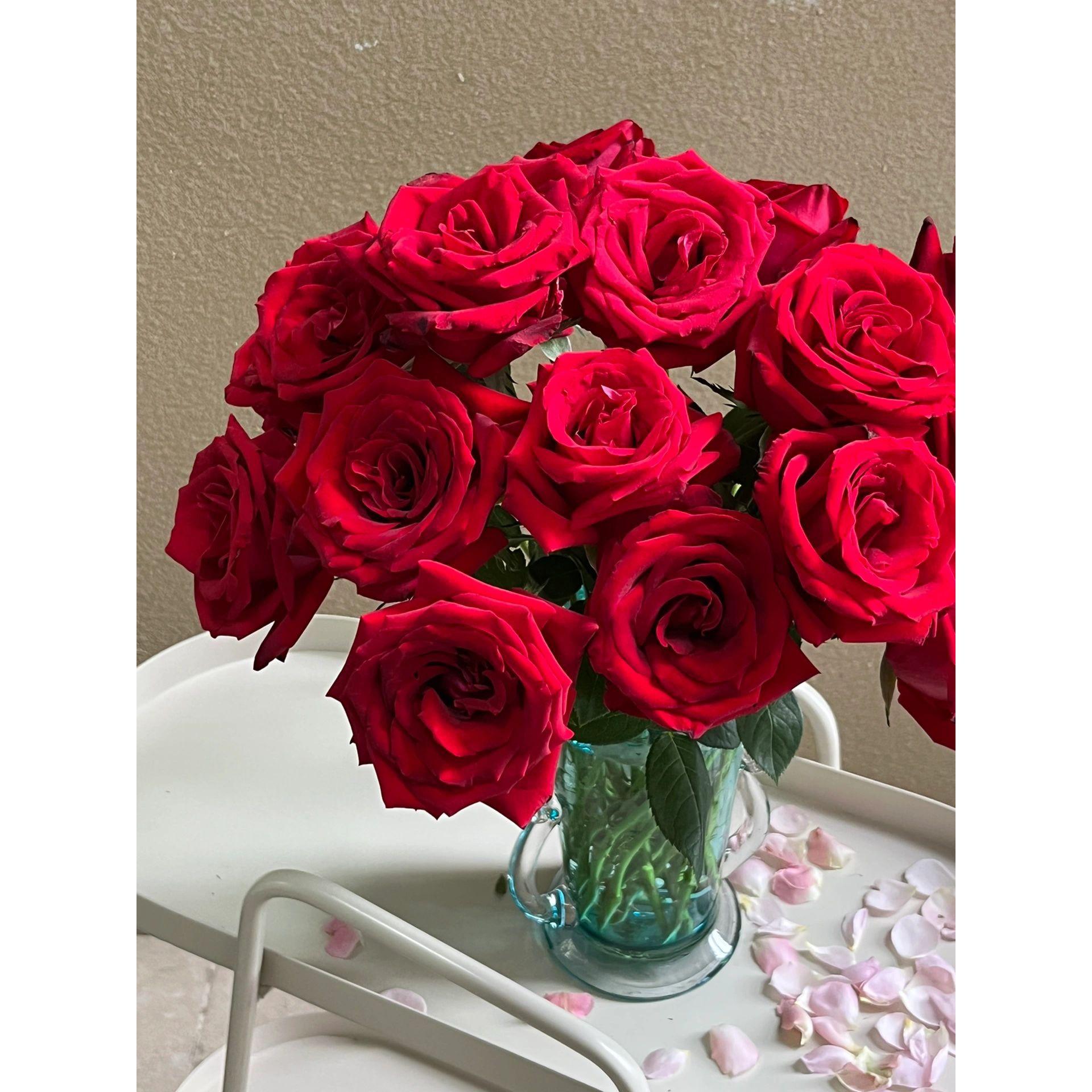 Rosa roja-corola (20 palos/corbata)