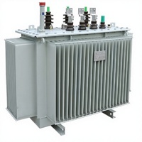 Transformador de Distribución Trifásico de Dos Bobinados Sumergido en Aceite Serie S20-M-30 Rainbow 10.5 KV / 10 KV 400 V 50 Hz