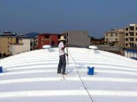Peinture imperméable et résistante à la chaleur pour toiture, réfléchissante aux rayons du soleil, idéale pour les tuiles métalliques, peinture pour toiture en métal, revêtement de refroidissement OEM pour pistolet à peinture
