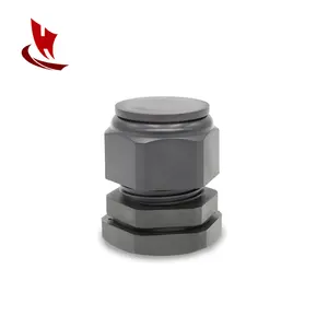 High Quality Pg21 Nylon Cable Gland Straight Gland Resistant To Grease And Common Solvents Plastic Adjustable Connector