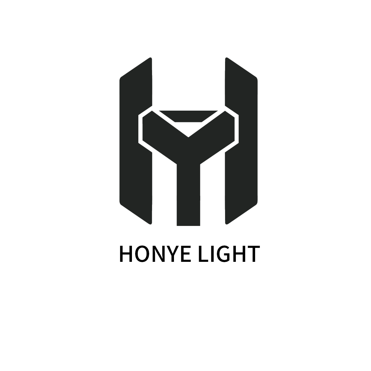 Shenzhen Honye Lighting Equipment Co., Ltd. logo