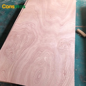 Consmos <span class=keywords><strong>4x8</strong></span> 12mm 18mm popler Core Sapele komersial kayu lapis untuk dekorasi