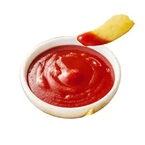 Bottiglie di plastica da spremere Standard Halal tacchino pomodoro Ketchup all'ingrosso marchio OEM 320g concentrato di pomodoro