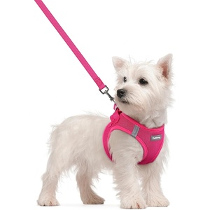 Escape Proof Safe Adjustable Kitten Vest <strong>Harnesses</strong> Soft Breathable Mesh Collars with Reflective Strips <strong>Cat</strong> <strong>Harness</strong> and Leash Set - Product Image 1