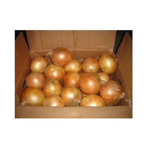 Fournisseur d'oignons de qualité fraîche Prix d'exportation d'oignons ronds Vente en gros d'oignons rouges frais naturels - Product Image 5