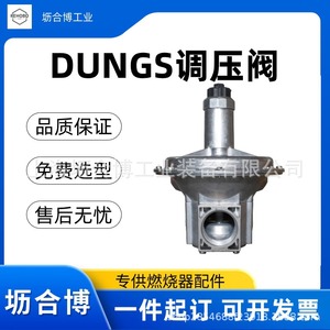 Régulateur de pression de gaz naturel en métal Dungs FRS507 - Product Image 3