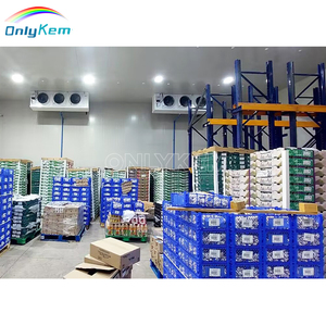 Congélateur à blast <span class=keywords><strong>de</strong></span> qualité industrielle et construction <span class=keywords><strong>de</strong></span> chambre froide et utilisation agricole, stockage frigorifique à <span class=keywords><strong>moteur</strong></span> - Product Image 6