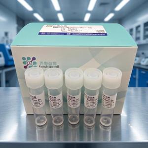 Kit de Disolución de Tejido Renal para Secuenciación de Células Individuales, Preparación de Suspensión Celular de Alta Pureza - Product Image 2