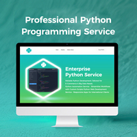 Servicio DE DESARROLLO DE Python personalizado Solución empresarial personalizada 24/7 Soporte para proyectos de Big Data de comercio electrónico