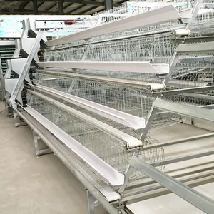 Hoàn Toàn Tự Động Gia Cầm Lồng Cho Lớp Trang Trại 4 Tier Gà Lớp Lồng Pin