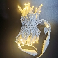 Hochleistungs-220-V-Rotgummikabel CE-geprüftes 4-W-Energiespar-RGB-Blitz-LED-Lichterketten