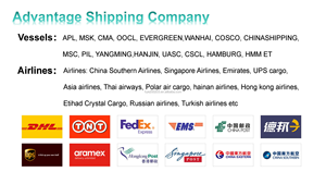 <span class=keywords><strong>Container</strong></span> vận chuyển biển vận chuyển Trung quốc đến Trung Đông <span class=keywords><strong>Container</strong></span> vận chuyển FCL lcl - Product Image 6