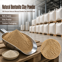 Poudre d'argile bentonite naturelle, minéral de montmorillonite pour litière pour chat, fonderie, coulée, imperméabilisation et amélioration des sols