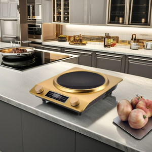 Lõm duy nhất Burner Bếp cảm ứng thép không gỉ cảm ứng nồi điều khiển nhiệt độ Anh cắm nồi cho hộ gia đình sử dụng - Product Image 2