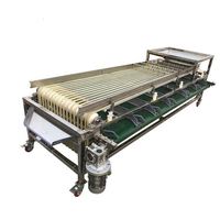 Machine de tri automatique des fruits Machine de sélection des graines de fruits Olives Grain Longan Trieuse de café cerises