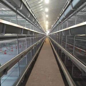 Otomatik h-tipi tavuk tabakası tavuk çiftliği ekipmanları çok fonksiyonlu gün eski civciv kafes çelik tavuk kümesi iyi fiyat kullanılan yeni - Product Image 3