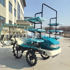 Repiqueuse de riz 8 rangs, moteur diesel, haute productivité, utilisation agricole sur le terrain - Product Image 2