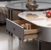 Table basse ronde ovale moderne avec structure en acier inoxydable et plateau en marbre, rangement intégré, durable, écologique, facile à nettoyer