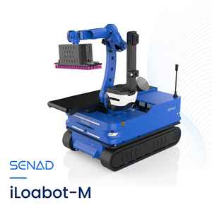 <span class=keywords><strong>Braccio</strong></span> Robotico Automatico per Carico, Scarico <span class=keywords><strong>e</strong></span> Pallettizzazione - Product Image 1