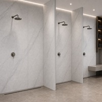 Panneau mural en marbre UV WYRAX 1220x2440mm 3.0mm Gris clair Carrara Haute brillance Étanche pour crédence de cuisine et mur de douche