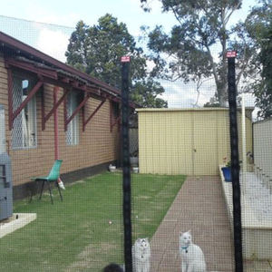 Rete di Sicurezza Anti-Fuga per Gatti 3x3cm con Rinforzo in Filo di Acciaio Inossidabile per Balcone e Rete per Gatti - Product Image 5