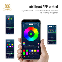 Éclairage intérieur de voiture K6 'CARDI' LED avec garniture argentée magique Nouvelle lumière ambiante 12V Compatible avec les accessoires de modèles de voiture 98%