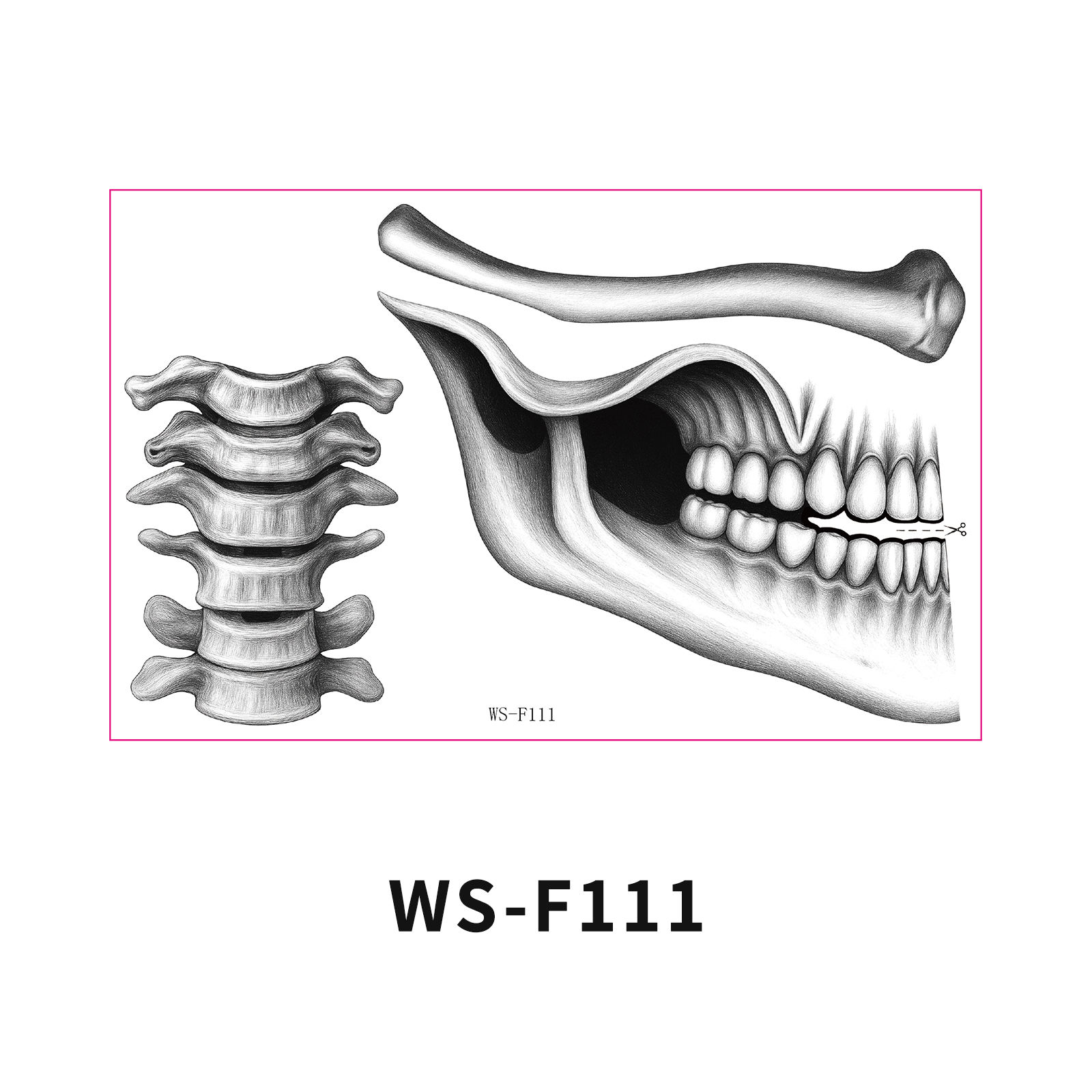 WS-F111