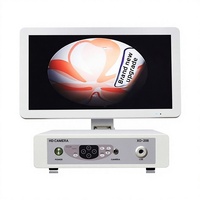 Endoscope visuel HD 21,5 pouces avec éclairage LED pour nettoyage d'oreilles, inspection ORL vétérinaire et qualité industrielle des canalisations multifonctionnelles