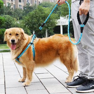 Cuerdas para caminar para perros de alta calidad, correas reflectantes de nailon de imitación para perros, correas de arnés para mascotas, collares, cuerdas de escalada en roca - Product Image 4