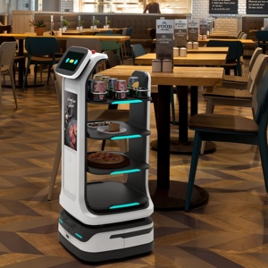 Robots de service pour femmes Robot de service <span class=keywords><strong>humanoïde</strong></span> Réception commerciale Serveur avec fonction de bienvenue Amélioré par le soutien robotique - Product Image 6