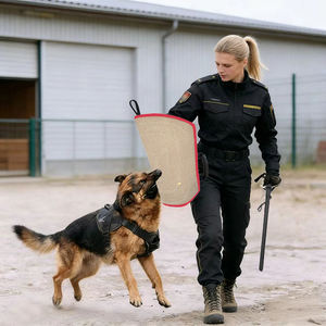 Bâton d'entraînement flexible professionnel pour chiens, bâton et <span class=keywords><strong>fouet</strong></span> pour l'entraînement des chiens <span class=keywords><strong>de</strong></span> grande et moyenne taille, équipement d'entraînement pour chiens - Product Image 6