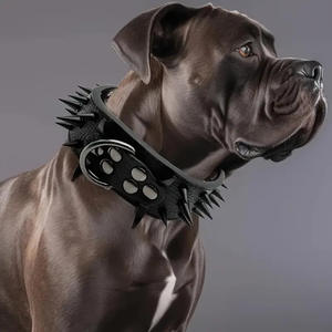Grand collier de <span class=keywords><strong>chien</strong></span> bouledogue avec rivets anti-morsure Fournitures pour animaux de compagnie en cuir à motif solide pour chiens Bully dominants - Product Image 2