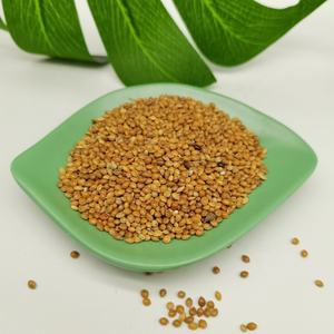 Nueva cosecha rojo/blanco/amarillo mijo escoba glutinosa maíz mijo cola de zorro mijo para <span class=keywords><strong>semilla</strong></span> de pájaro - Product Image 6