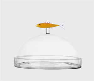 Frasco de Vidrio Transparente de Borosilicato Soplado a Mano con Tapa de Sardina, Soporte Decorativo para Pastel de Vidrio - Product Image 3