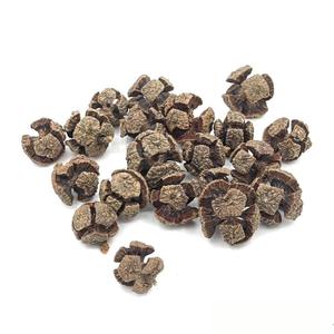 Litière de feuilles de longane PKY pour aquarium de tortues, conditionneur d'eau naturel pour réduire <span class=keywords><strong>la</strong></span> pourriture cutanée, plantes aquatiques noires pour aquarium - Product Image 3