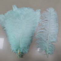 Vente en gros de panaches d'autruche teints blanchis de 18 à 20 pouces pour les décorations de fête Broadway Parties Home Decor Carnaval Costume Décoration