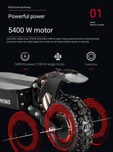 Trottinette pliable Wanyang Factory Direct avec pneus larges de 10 pouces, frein à disque, double moteur brushless 1200W, batterie au lithium - Product Image 2