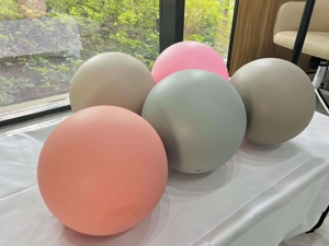 Custom PVC Core Lightweight Non-Slip Small <b>Exercise</b> Ball for Between <b>Knees</b> Fitness 9inch 25cm Yoga Pilates - Product Image 4