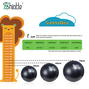 Shinho Vente Chaude <span class=keywords><strong>Ballon</strong></span> de Yoga en PVC Écologique Antidérapant Robuste <span class=keywords><strong>Ballon</strong></span> de Stabilité Ballons de <span class=keywords><strong>Gym</strong></span> pour l'Entraînement du Tronc à Domicile <span class=keywords><strong>Gym</strong></span> <span class=keywords><strong>Bureau</strong></span> - Product Image 4