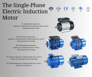 YC YCL 1HP 2HP 3HP 5.5HP 10HP AC 단상 비동기 유도 모터 110/220V 220-440V 50/60Hz IP44/IP54/IP55 풋 마운트 - Product Image 4