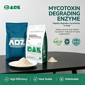 Suplemento alimenticio <span class=keywords><strong>de</strong></span> seis fuentes <span class=keywords><strong>de</strong></span> degradación <span class=keywords><strong>de</strong></span> micotoxinas que reduce <span class=keywords><strong>la</strong></span> <span class=keywords><strong>mastitis</strong></span> y <span class=keywords><strong>la</strong></span> endometritis, aumenta <span class=keywords><strong>la</strong></span> eclosión <span class=keywords><strong>de</strong></span> huevos y <span class=keywords><strong>la</strong></span> conversión alimentaria. - Product Image 2