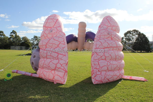 Corazón inflable gigante médico <span class=keywords><strong>de</strong></span> diseño personalizado gigante para exposición - Product Image 3