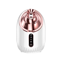 Vaporizador Facial Nano Iónico Ultrasónico para el Hogar, Humidificador con Vapor Frío y Caliente, Atomizador Eléctrico con Tanque de Agua de 240 ml