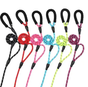 Comfortable Thickened Reflective Nylon Dog Rope Traffic Padded Two Double Handle Heavy Duty Dog Leash Dual Handles Leads